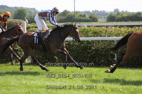 IMG 0154 600x400 prot