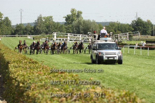 IMG 0177 600x400 prot