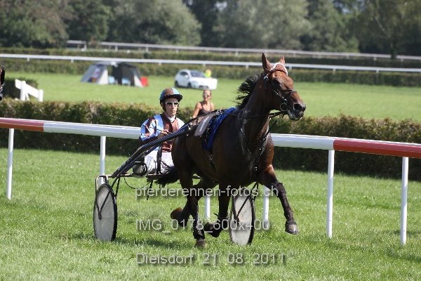 IMG 0178 600x400 prot