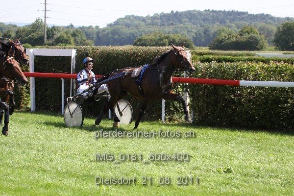 IMG 0181 600x400 prot