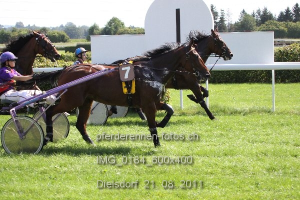 IMG 0184 600x400 prot