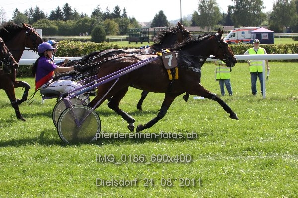 IMG 0186 600x400 prot