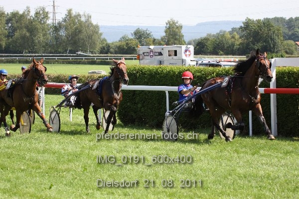 IMG 0191 600x400 prot