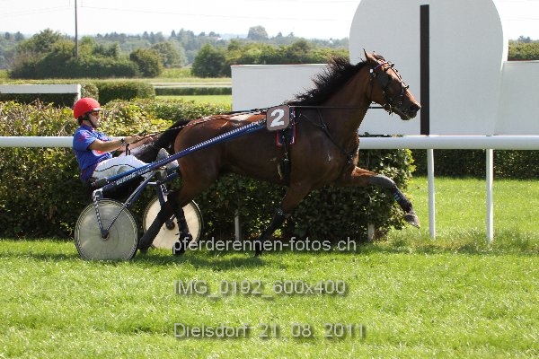 IMG 0192 600x400 prot
