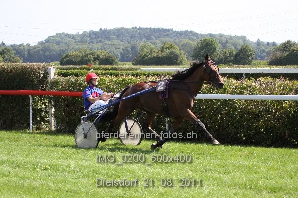 IMG 0200 600x400 prot