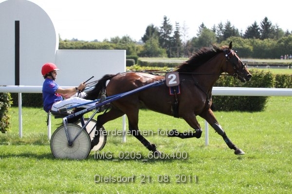 IMG 0205 600x400 prot