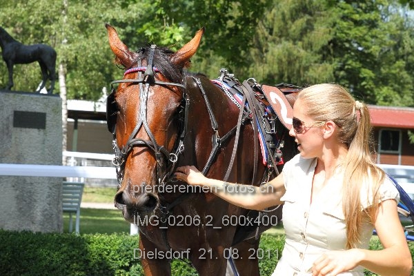 IMG 0206.2 600x400 prot