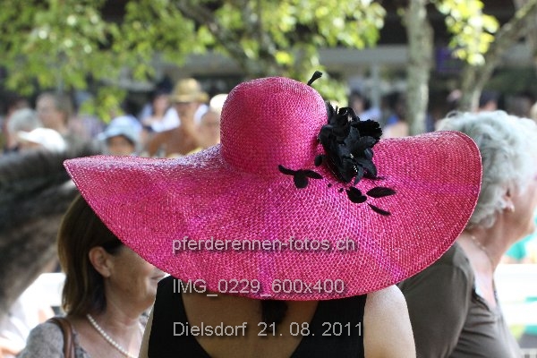 IMG 0229 600x400 prot