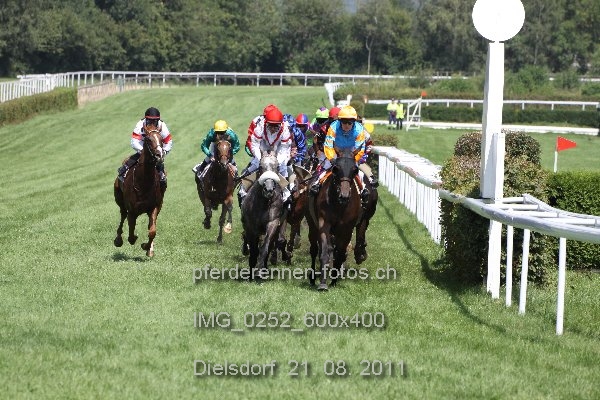 IMG 0252 600x400 prot