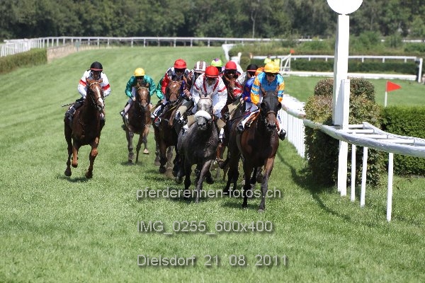 IMG 0255 600x400 prot