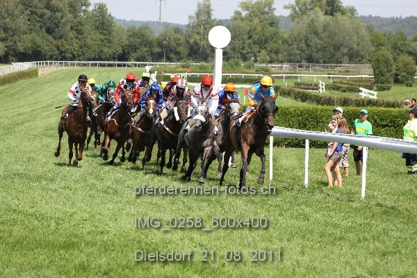 IMG 0258 600x400 prot