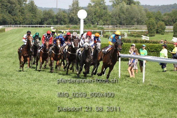 IMG 0259 600x400 prot