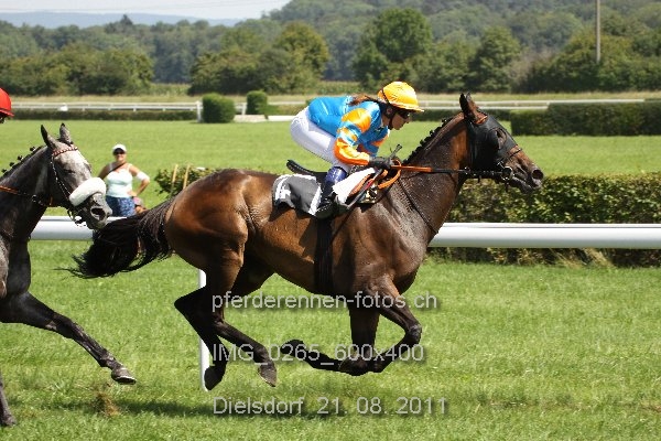 IMG 0265 600x400 prot