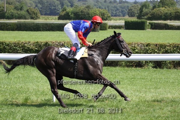 IMG 0268 600x400 prot