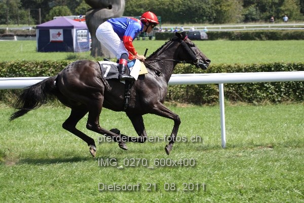 IMG 0270 600x400 prot