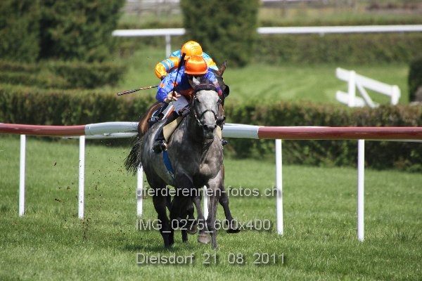 IMG 0275 600x400 prot