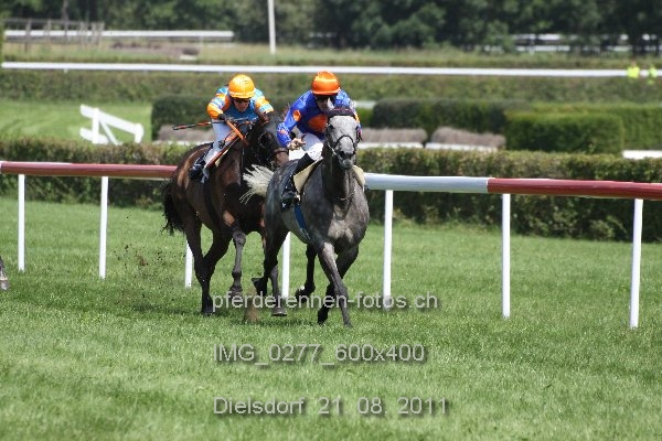 IMG 0277 600x400 prot
