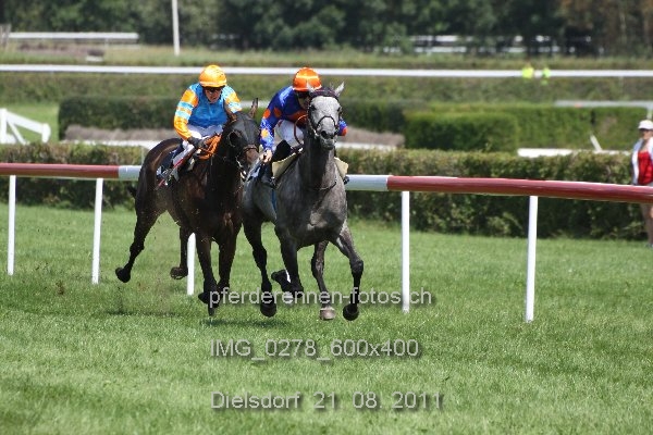 IMG 0278 600x400 prot