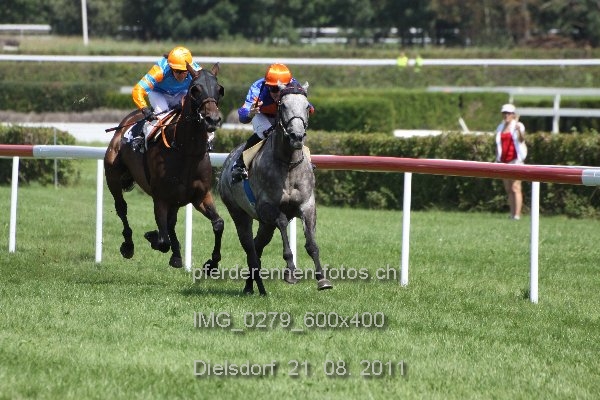 IMG 0279 600x400 prot