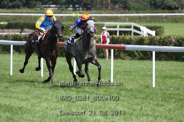 IMG 0281 600x400 prot