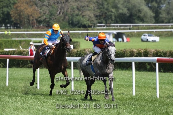 IMG 0284 600x400 prot