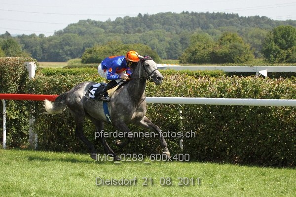 IMG 0289 600x400 prot
