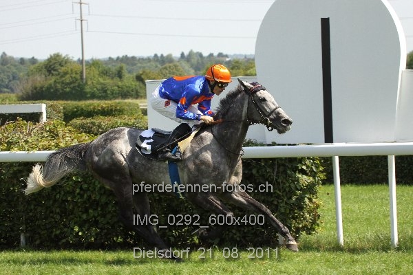 IMG 0292 600x400 prot