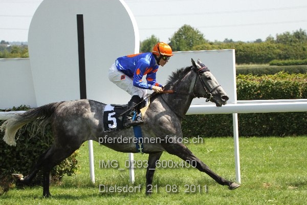 IMG 0293 600x400 prot