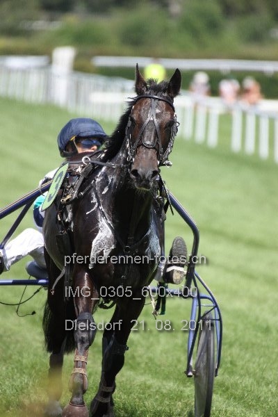 IMG 0305 600x400 prot