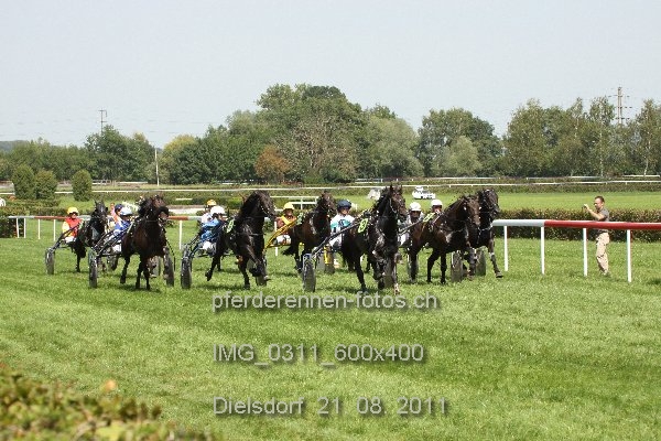 IMG 0311 600x400 prot