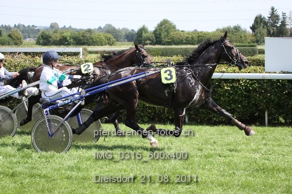IMG 0315 600x400 prot