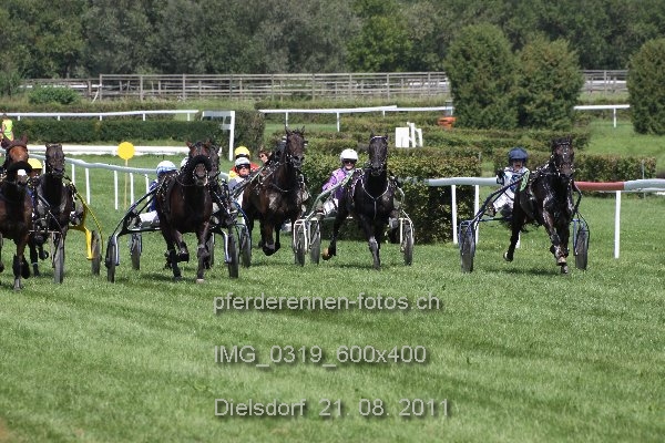 IMG 0319 600x400 prot