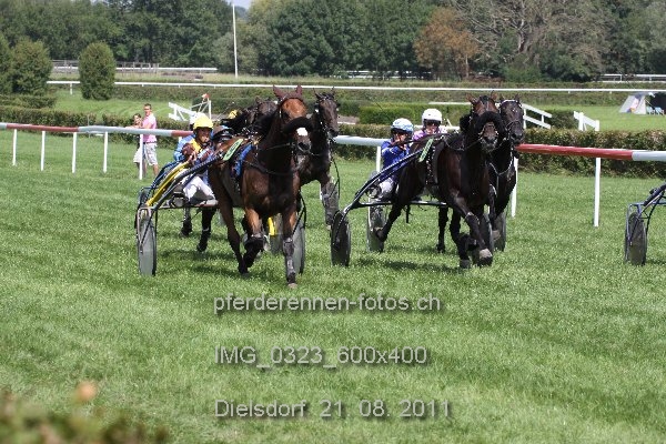 IMG 0323 600x400 prot
