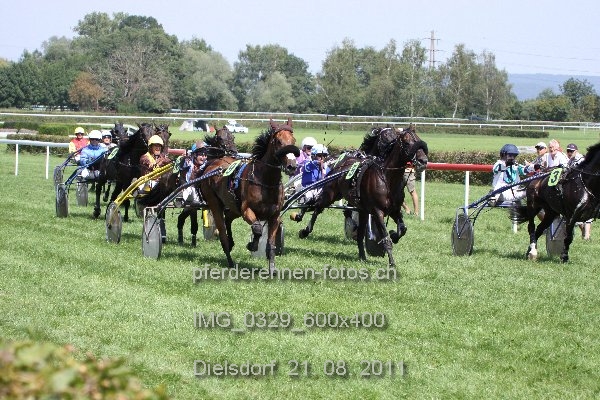 IMG 0329 600x400 prot