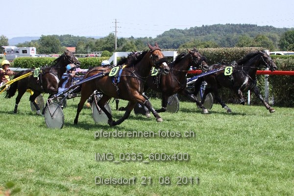 IMG 0335 600x400 prot