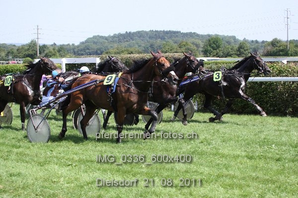 IMG 0336 600x400 prot