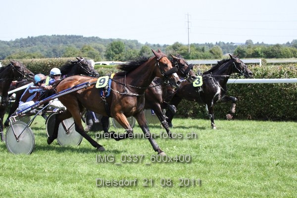 IMG 0337 600x400 prot