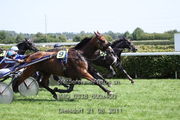 IMG 0338 600x400 prot