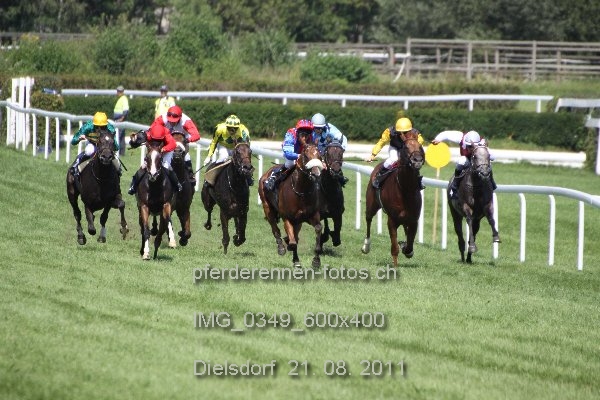 IMG 0349 600x400 prot