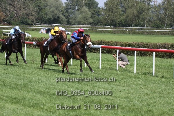IMG 0354 600x400 prot