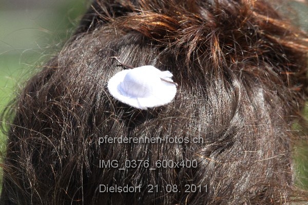 IMG 0376 600x400 prot