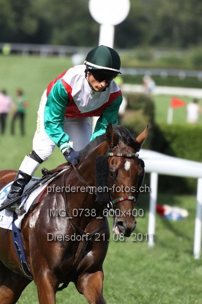 IMG 0738 600x400 prot