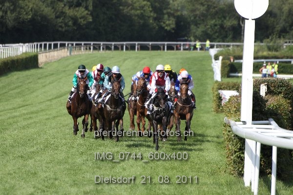 IMG 0744 600x400 prot