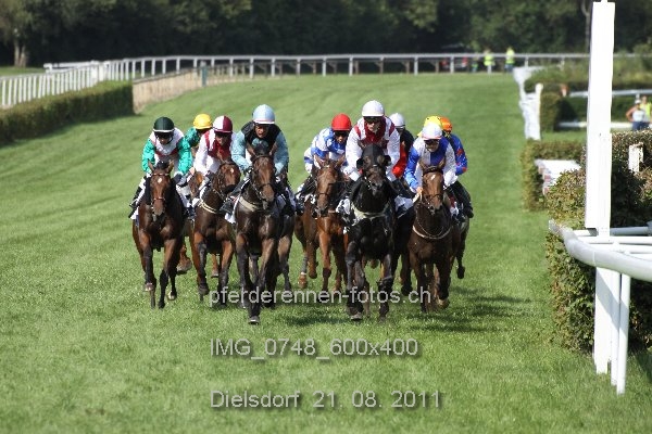 IMG 0748 600x400 prot