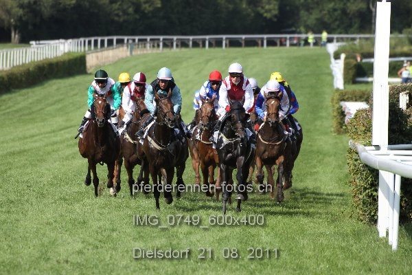IMG 0749 600x400 prot