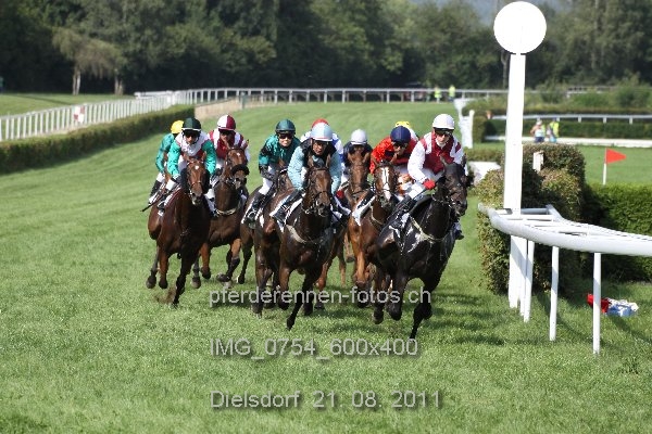 IMG 0754 600x400 prot