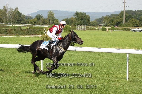 IMG 0761 600x400 prot