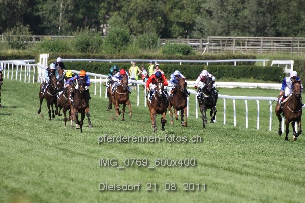IMG 0769 600x400 prot