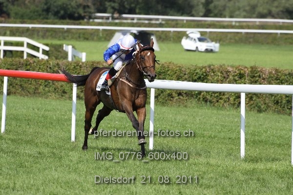 IMG 0776 600x400 prot