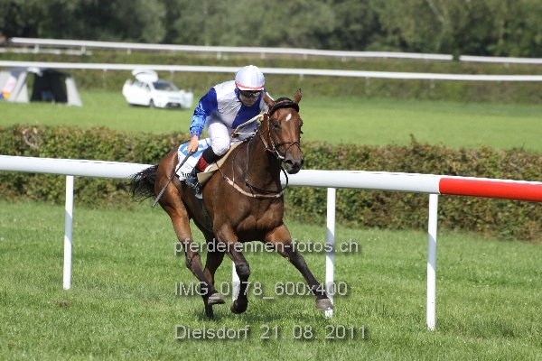 IMG 0778 600x400 prot